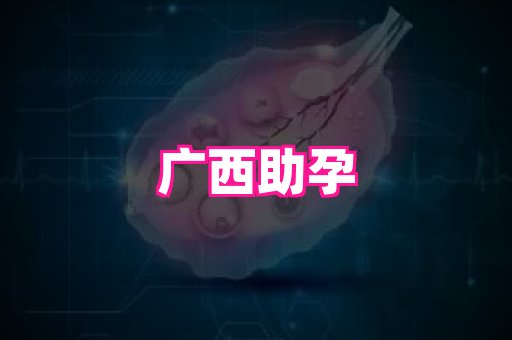 gfg孕网 2