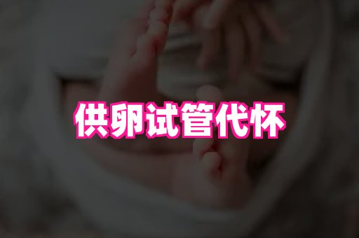 gfg孕网 3
