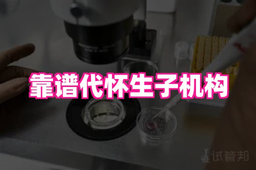 gfg孕网 4